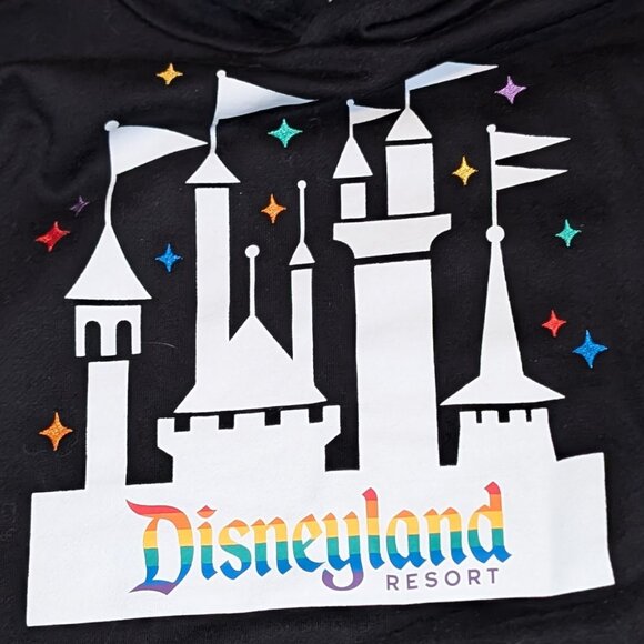 NWT Disney Pride Collection Disneyland Resort Unisex Adult Hoodie Size S - Picture 2 of 4